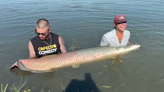 Arapaima Fishing In Florida!