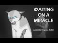 Waiting on a Miracle - Ivypool AMV Sketch