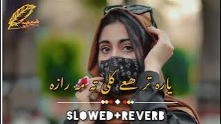 Yara tar haghe Kali ta mara za | Pashto New slowed reverb song #Asimtypist