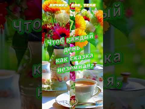 Красивая Открыточка Для Тебя #лучшее #видео #открытка #shorts #шортс #video #like #радость