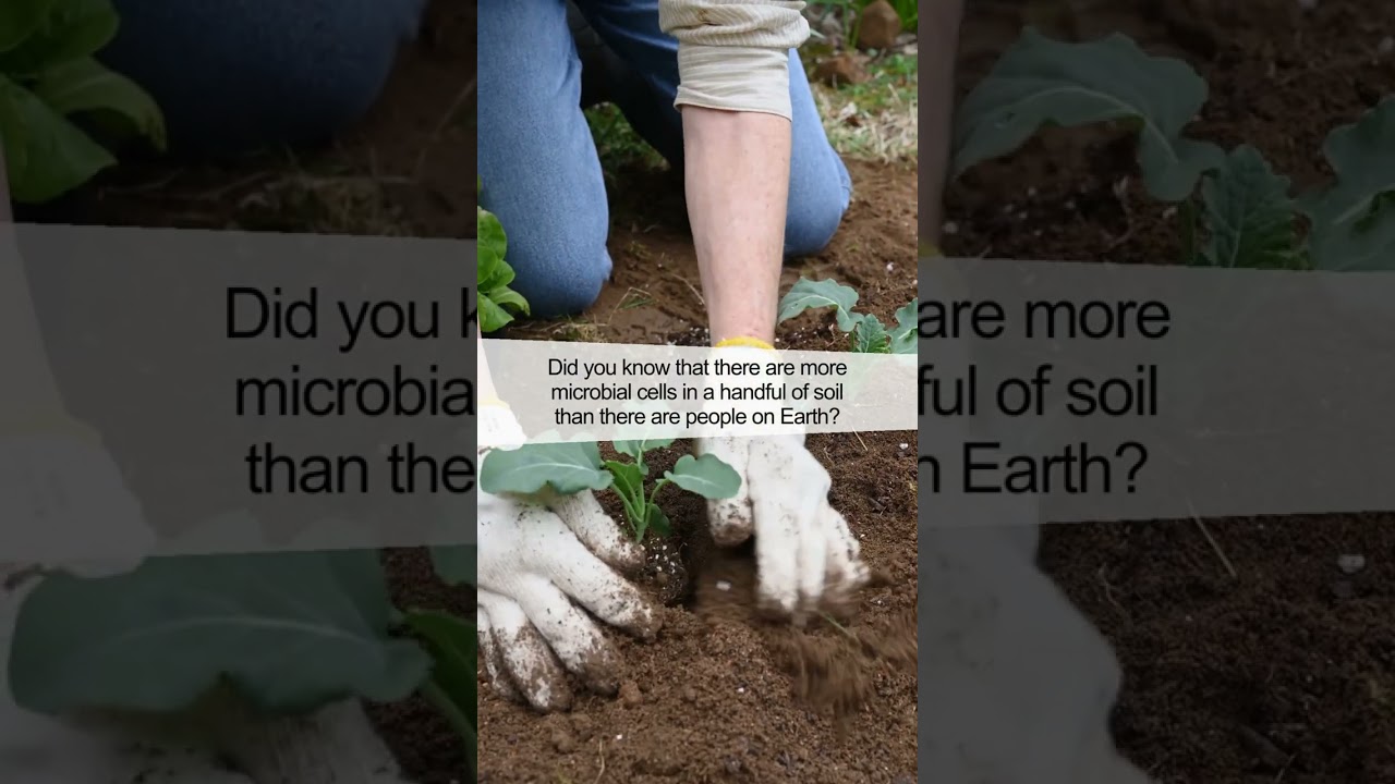 The Incredible World of Microbial Life: Did You Know This?