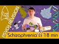 Schizophrenia  aqa psychology in 18 mins new quick revision for paper 3