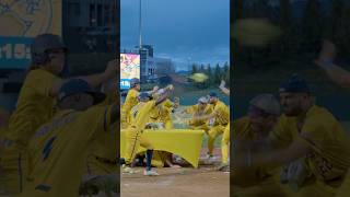 Food Fight Run Celebration! #bananaball #savannahbananas #celebration #foodfight #dance #baseball