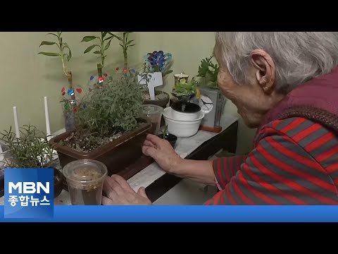 &amp;quot;반려견 못지 않아요&amp;quot;…코로나 장기화에 <strong>식물</strong> <strong>재배</strong> 열풍 [MBN 종합뉴스]