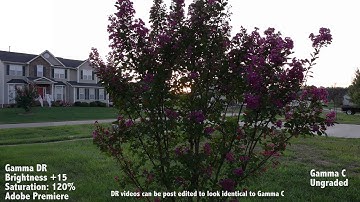 Samsung NX1 Gamma DR vs Gamma C Video Test in 4K