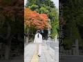 高野山の紅葉レポート🍁2025秋【奥之院一の橋】#koyasan #旅行 #autumn