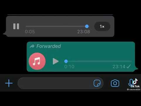 Funny whatsapp voice note