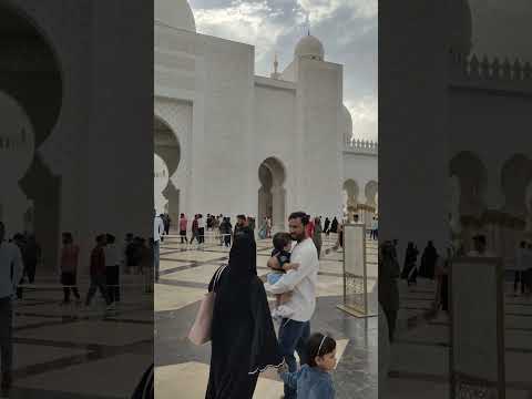 masjid abudhabi #shortsvideo #viralshort #shaikhzayedroad #shorts #viralvideo #youtubeshorts #yt