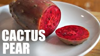 CACTUS PEAR | Prickly Pear Taste Test -- FRUITY FRUITS screenshot 4