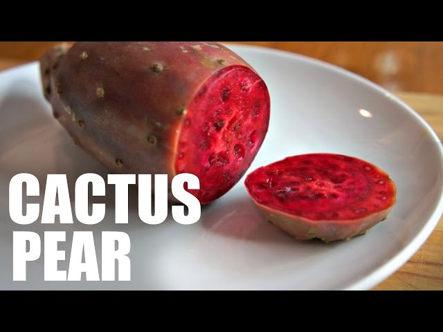 CACTUS PEAR | Prickly Pear Taste Test -- FRUITY FRUITS - YouTube