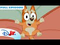 Bluey Full Episode Butterflies Full Episode Disneyjr 