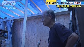 屋根はシートのみ　荒天で独居高齢者に不安募る(19/09/16)