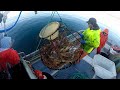 Loaded Crab Pots! - 2019 Tanner Crabbing Season
