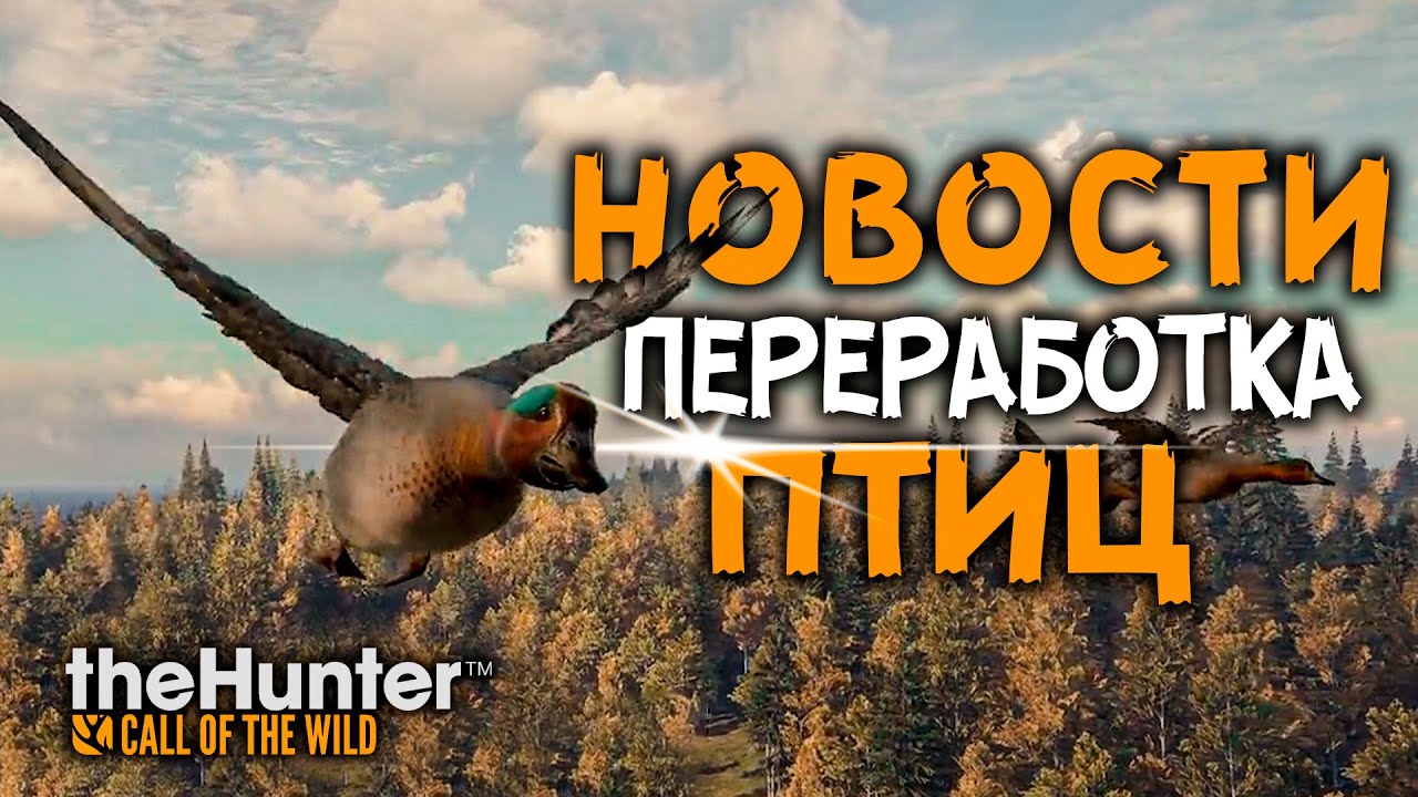 TheHunter Call of the Wild - Новости -  Переработка птиц - Берег Ревонтули - Новые ДЛС