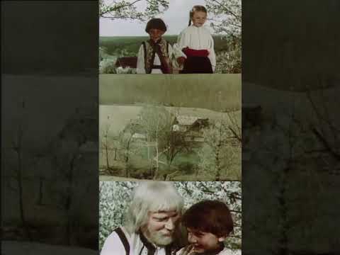 А вже весна воскресла #film #кінонавечір #українськекіно