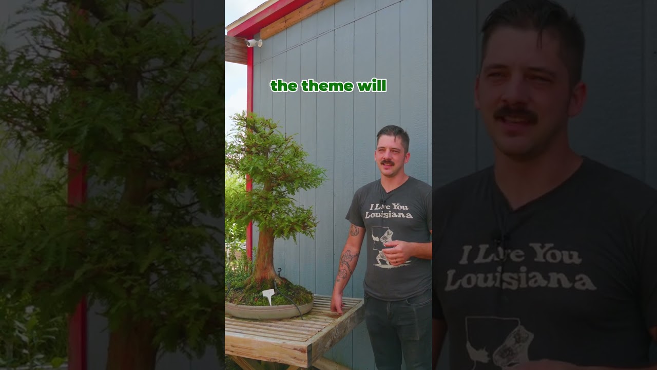 Bonsai Society Club Convention