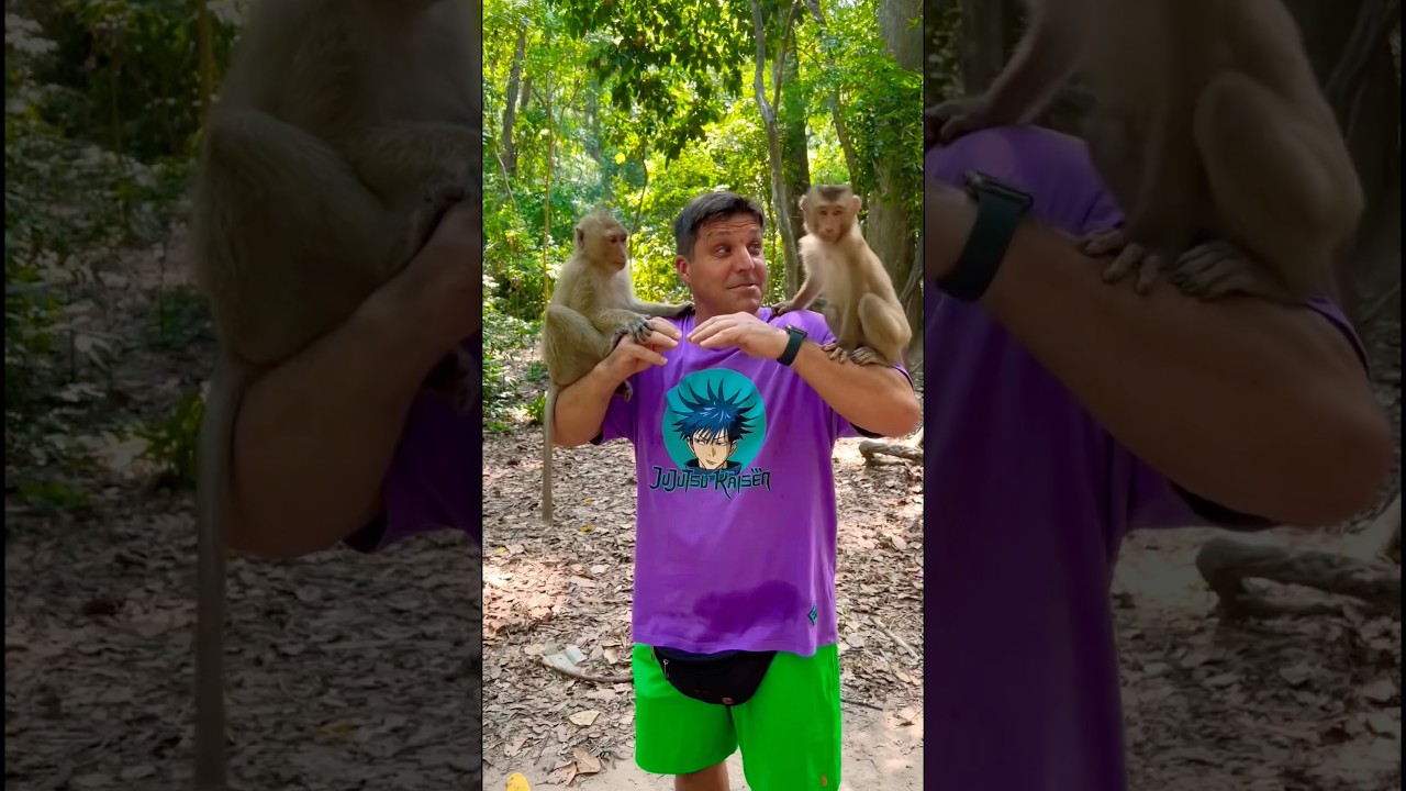 Awesome 🥰 Happy Adorable Wild Monkeys Playing With Foreigner 😍🐒 