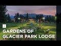 Gardens of Glacier | Perennial beauty at Glacier Park Lodge