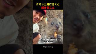 クオッカ島に行くと起きること