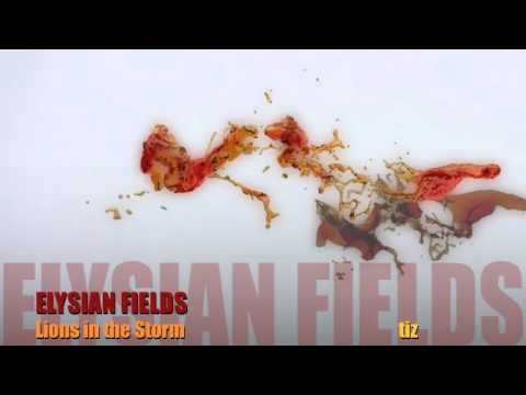 Guarda Lions in the Storm ☆ ELYSIAN FIELDS su YouTube Guarda Lions in the Storm ☆ ELYSIAN FIELDS su YouTube