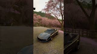 C5 🌸 @FWTNINJA5476 #cars #forzahorizon6 #gaming #famous #viral #fyp #fh6 #gameplay #realistic