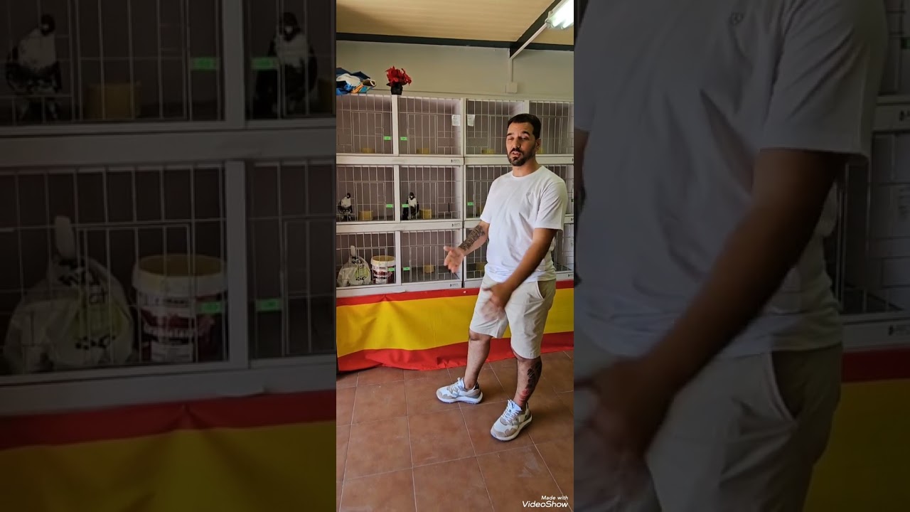 Club Internacional de Criadores de Buchón Moroncelo, con Rafa Mena