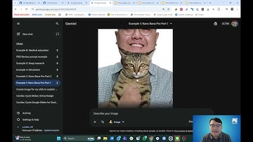 Gemini 3 Pro: Nano banana pro, poster PR, Simulation, Literature review, Vibe code Web, NotebookLM