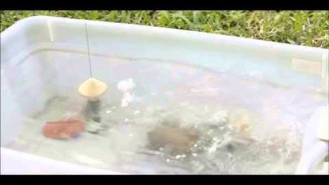 Testing a year old SeaTag-MOD release section (Video 2 of 2)