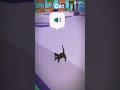 The cat…