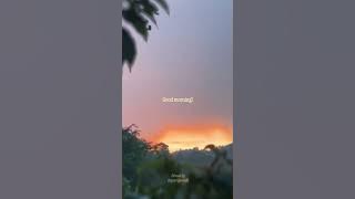Good morning! — Music by Citrus Avenue - Window Seat - https://thmatc.co/?l=85531E25