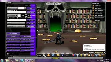 aqw how to use dark mystic bot