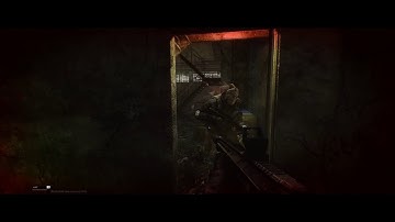 Playing Tarkov (Mostly offline)