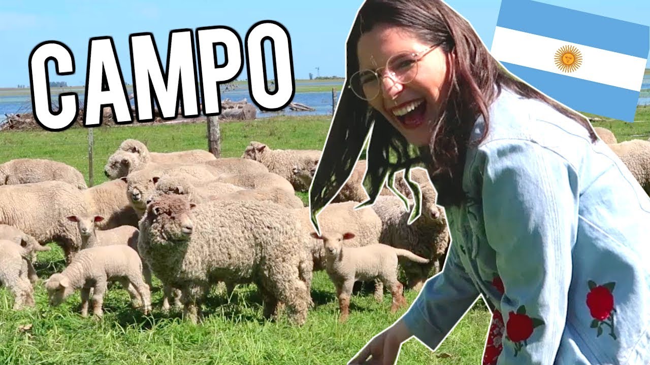 CAMPO EN ARGENTINA - ES ENORME (2018)! Steph T
