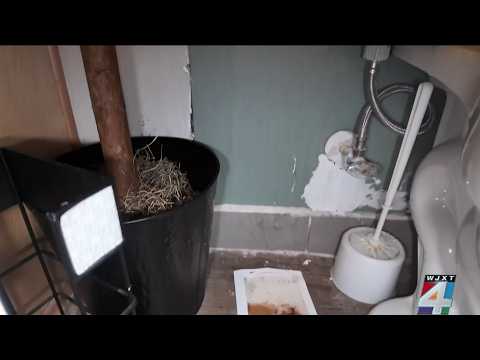 Jacksonville resident raises concerns about Calloway Cove apartment conditions