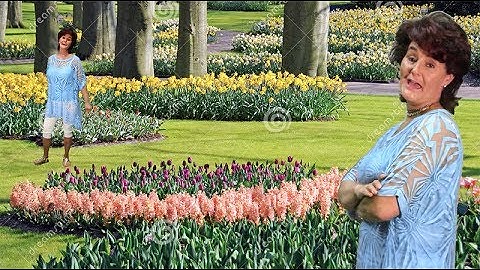 Liesbeth - 10SC WLTZ