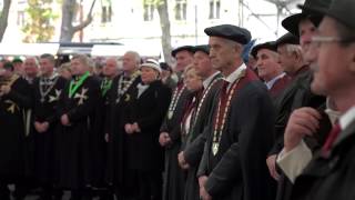 Martinovanje, Ptuj 2016