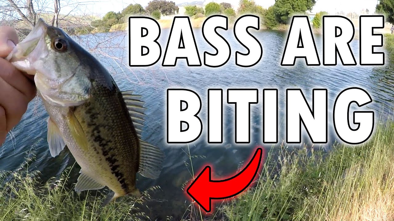 Boring Spring Bass Fishing – Its Starting Up!