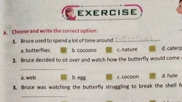 Solution of exercise chapter 2 Cocoon and the Butterfly Class 4 Moral Values (M.Sc.) Monopoly