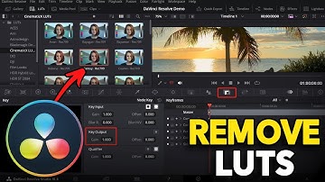 How to Remove LUTs in Davinci Resolve (Easy Guide)