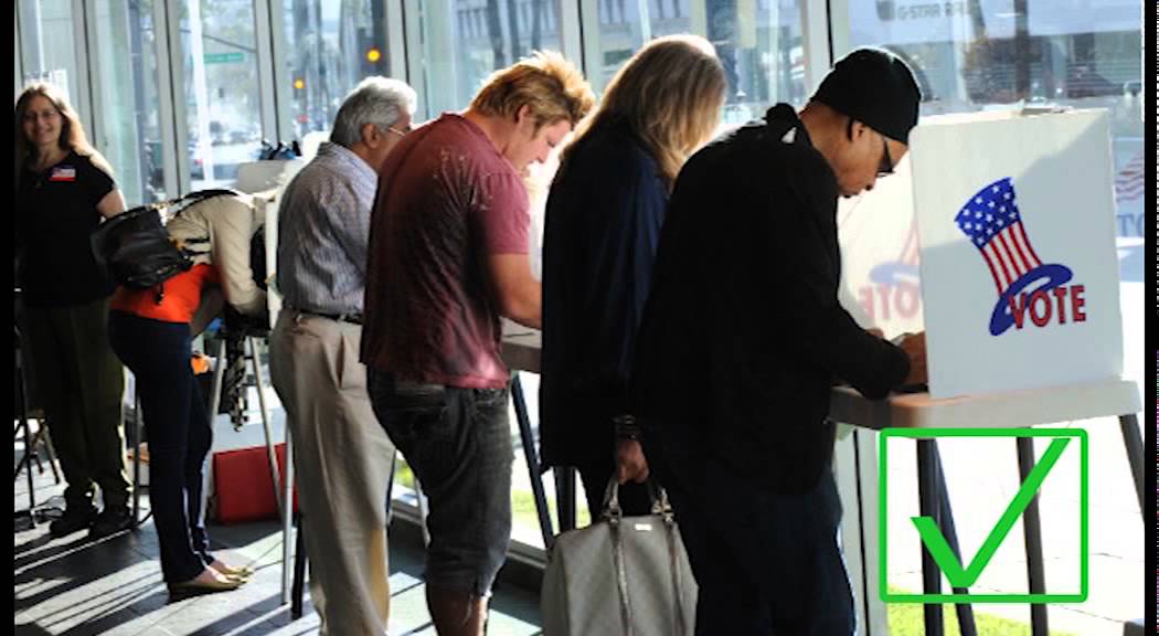 Выборы 22. People votes. Праймериз сша. Voters in elections. Voters people chicago.