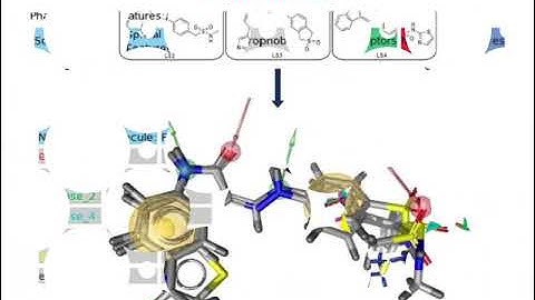 Computer-Aided Drug Design (CADD)