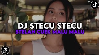 Download Lagu DJ STECU STECU LAGU TIMUR SLOWED VIRAL TIKTOK, DJ STECU STELAN CUEK MP3 Download Lagu DJ STECU STECU LAGU TIMUR SLOWED VIRAL TIKTOK, DJ STECU STELAN CUEK MP3