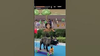 College Brawl / MODGila  #shorts