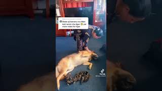 Download Lagu kukulai bahir lagen vaner ghurki lagaudai ladi badi kheleko MP3