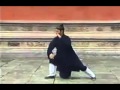 Wudang taichi quan 64 forms by wudang master tian liyang