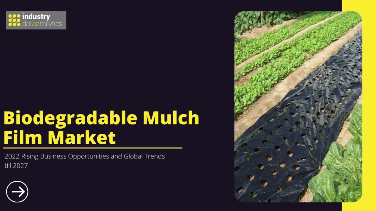 Biodegradable Mulch Film Market | Industry Data Analytics | IDA