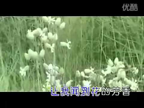 骏马 汤潮