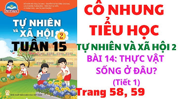 Tự nhiên và Xã hội lớp 2 | Tuần 15 | Bài 14: Thực vật sống ở đâu? | Tiết 1 | Trang 58, 59 |