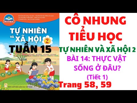 Tự nhiên xã hội lớp 2 - Tuần 15