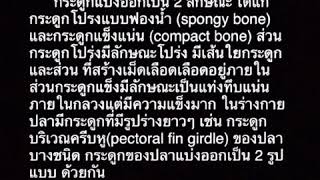 บทที่3 ระบบโครงสร้าง (Skeleton System)